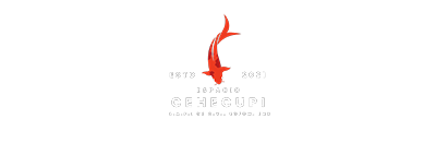 Cehecupi